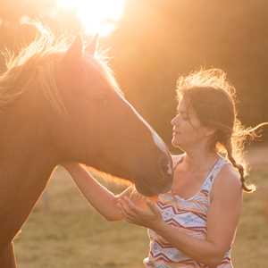 Regards Pluriels Equicoaching, un coach pour entrepreneur à Evreux